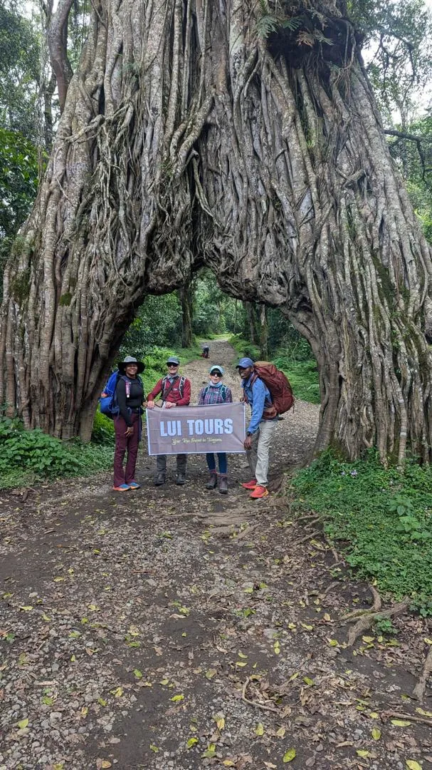 Mount Kilimanjaro trekking landscape